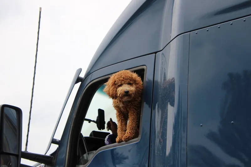 Dry Van truck dispatch services in Mississippi